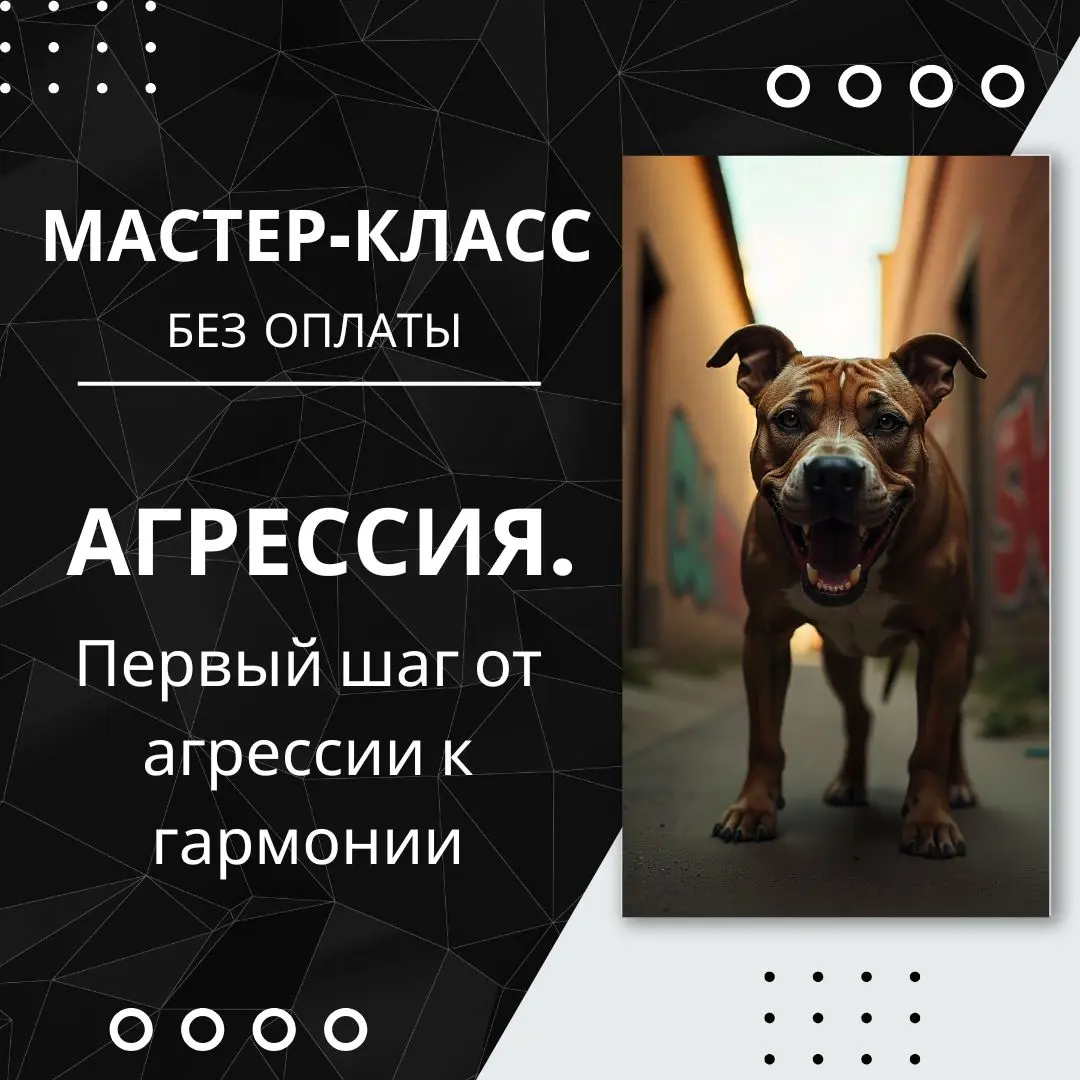 Мастер-класс “Агрессия. Первый шаг от агрессии к гармонии”