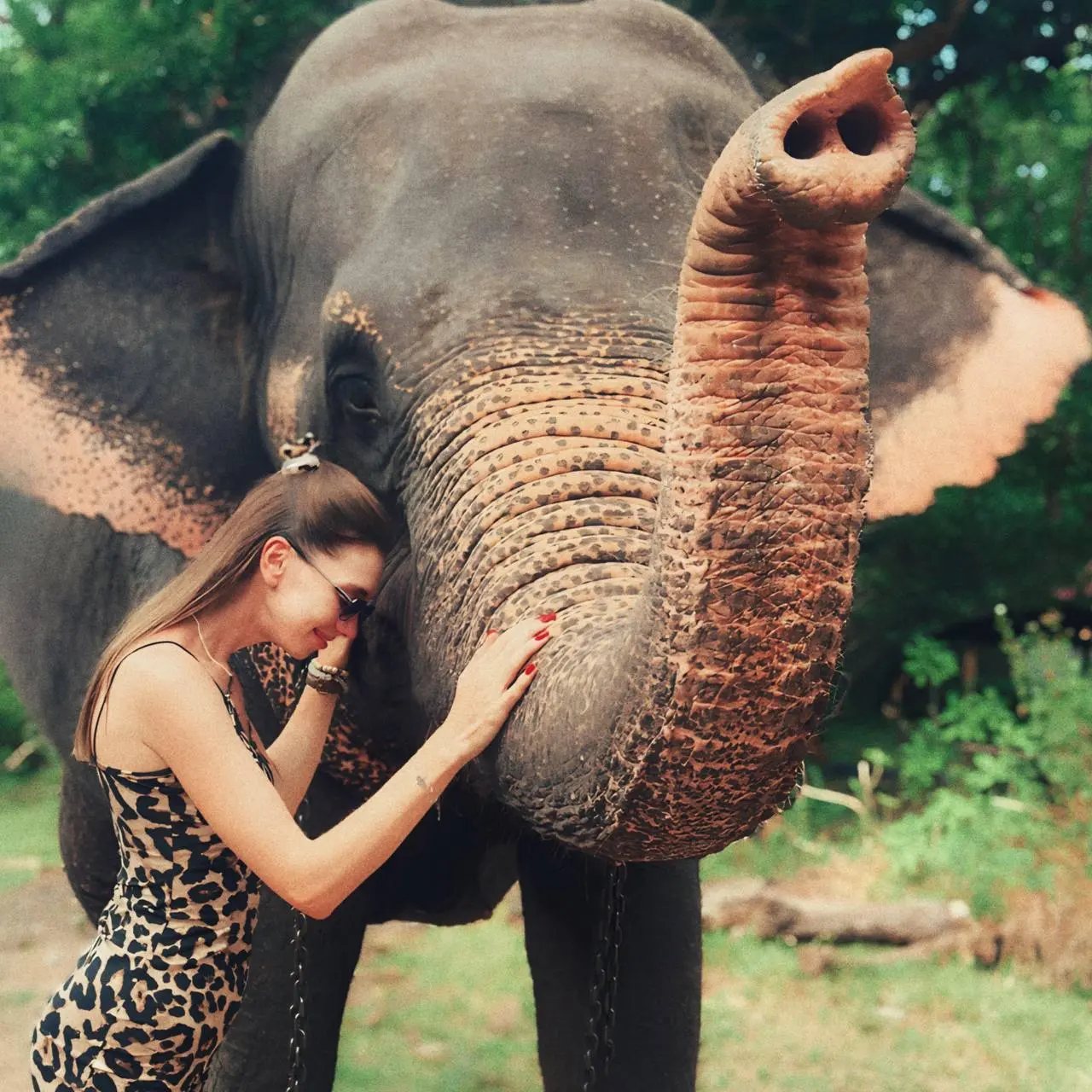 Двухдневная комбо-экскурсия "Элла, Сигирия и слоны в отеле Пинавелла"