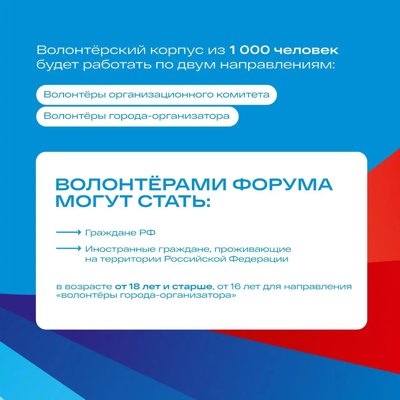 Участие волонтёров XIII Международного спортивного форума «Россия – спортивная держава»