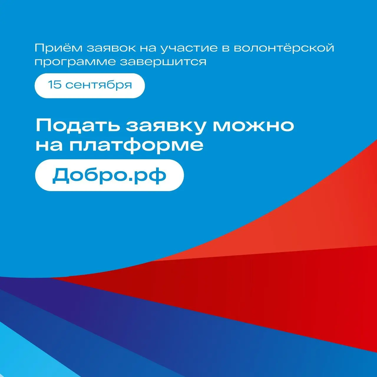 Участие волонтёров XIII Международного спортивного форума «Россия – спортивная держава»