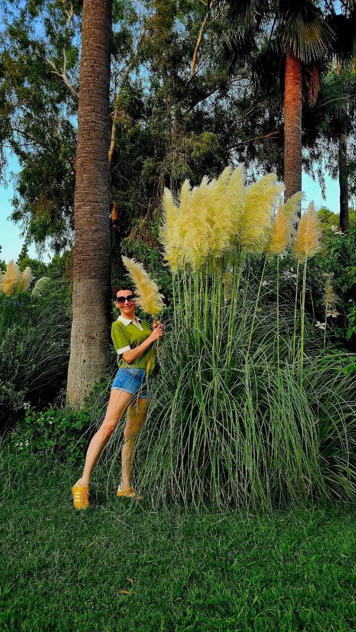 Не указанo оригинальное название мероприятия