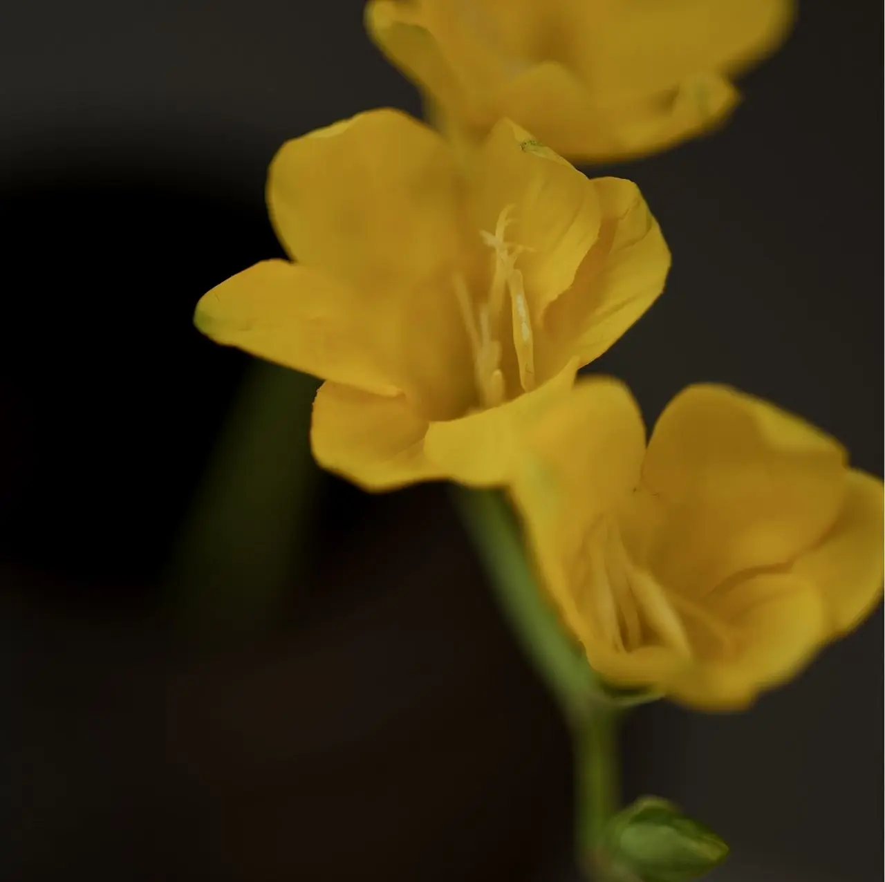 Приглашаем слепить веточку фрезии из холодного фарфора