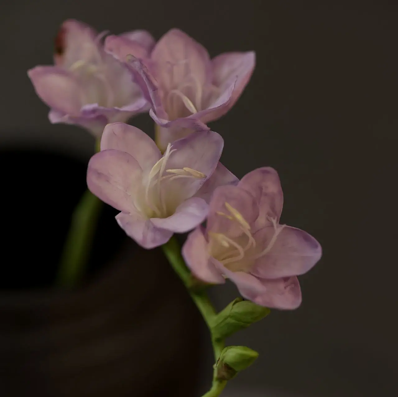 Приглашаем слепить веточку фрезии из холодного фарфора