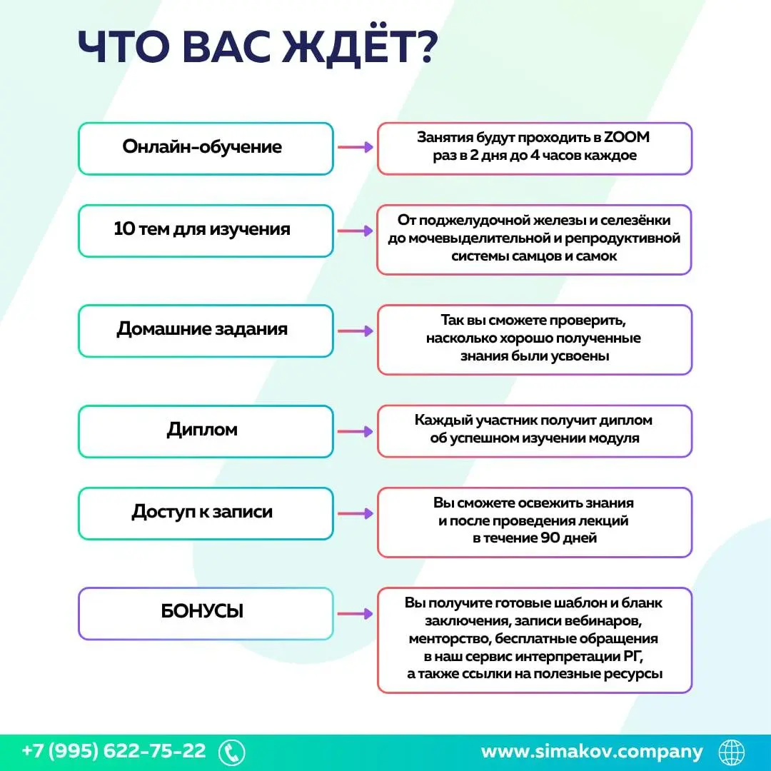 2 курса в 1 для ветеринарных врачей: Рентгенография и УЗИ брюшной полости
