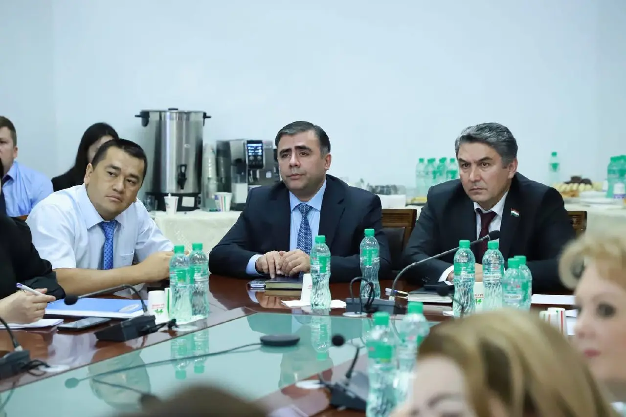 II day of project-analytic session at RTSU