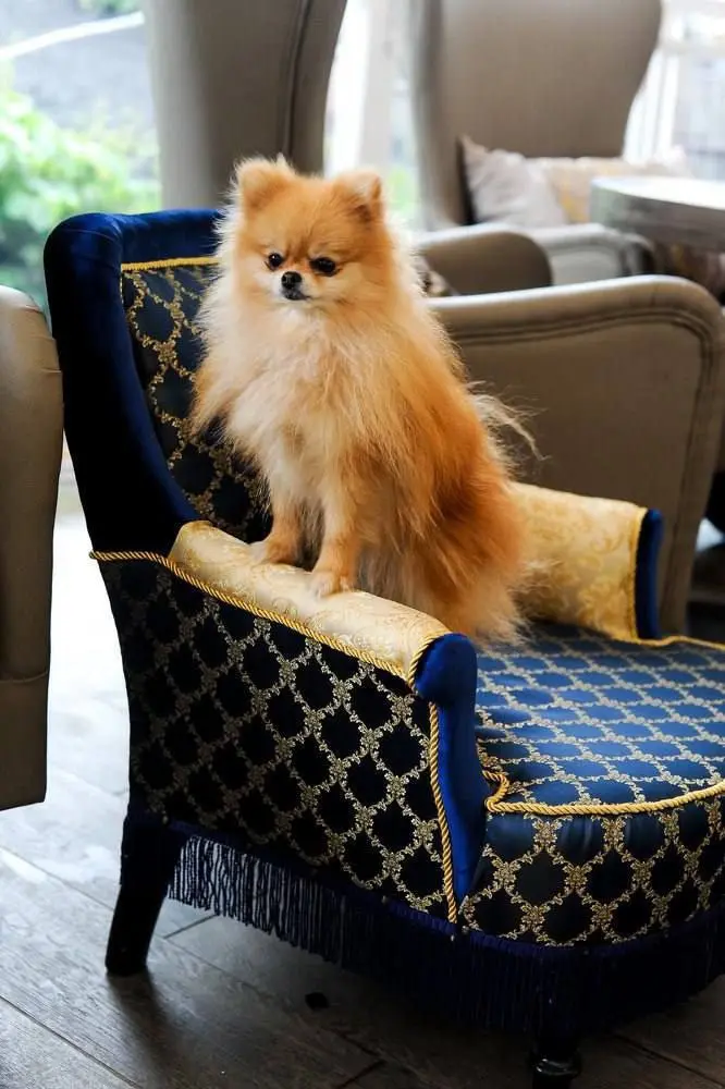 Гараж-сейл FChairs на Даниловском рынке