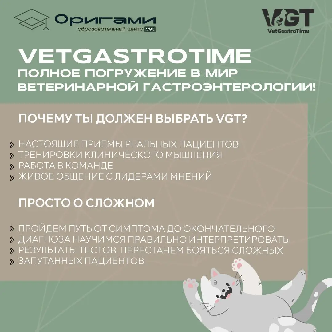 VetGastroTime – Время практической гастроэнтерологии