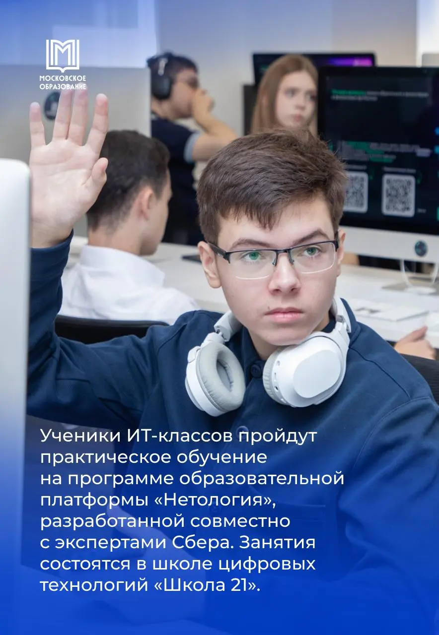 Настоящее погружение в профессию