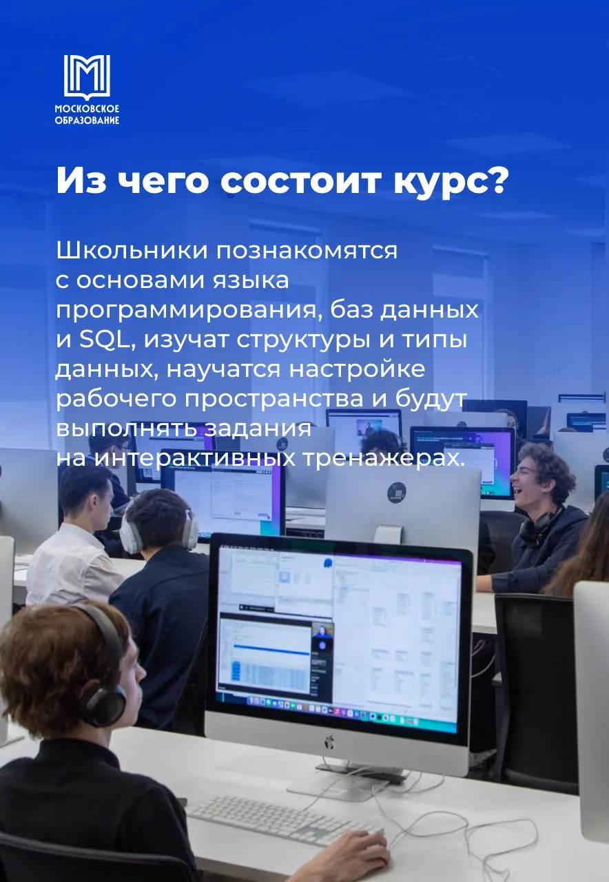 Настоящее погружение в профессию