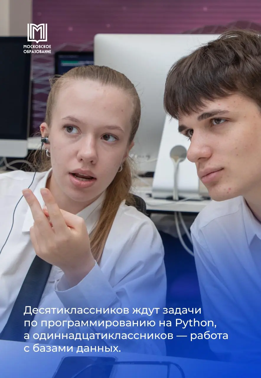 Настоящее погружение в профессию