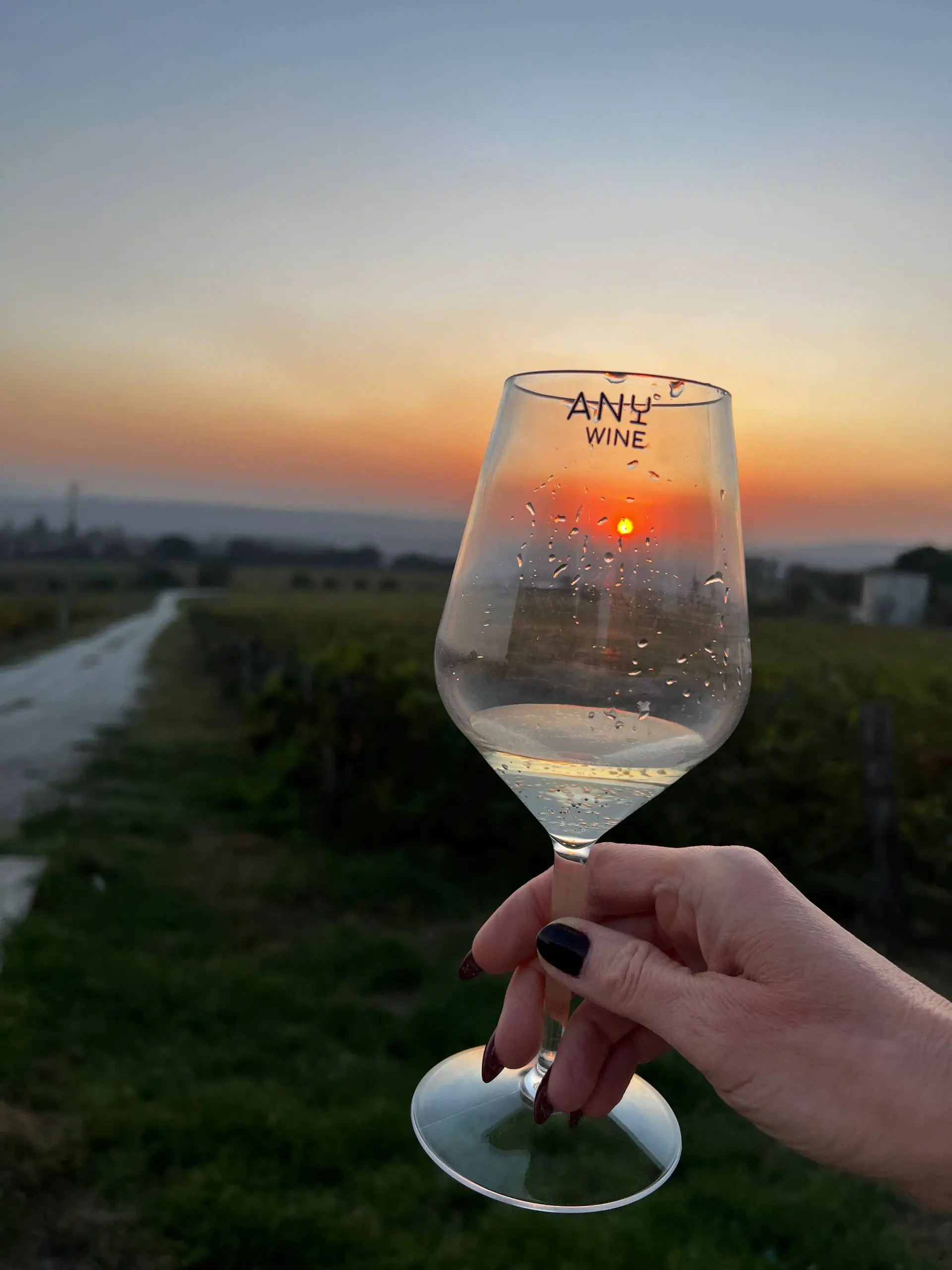 ПО ВИНОДЕЛЬНЯМ АНАПЫ И ТАМАНИ! Бархатный сентябрь с Any Wine