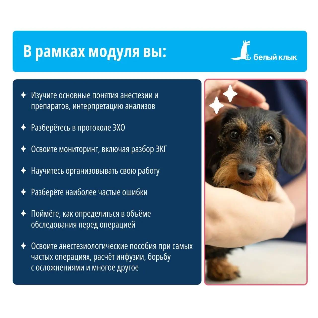 Тренинг по анестезиологии от Белого клыка