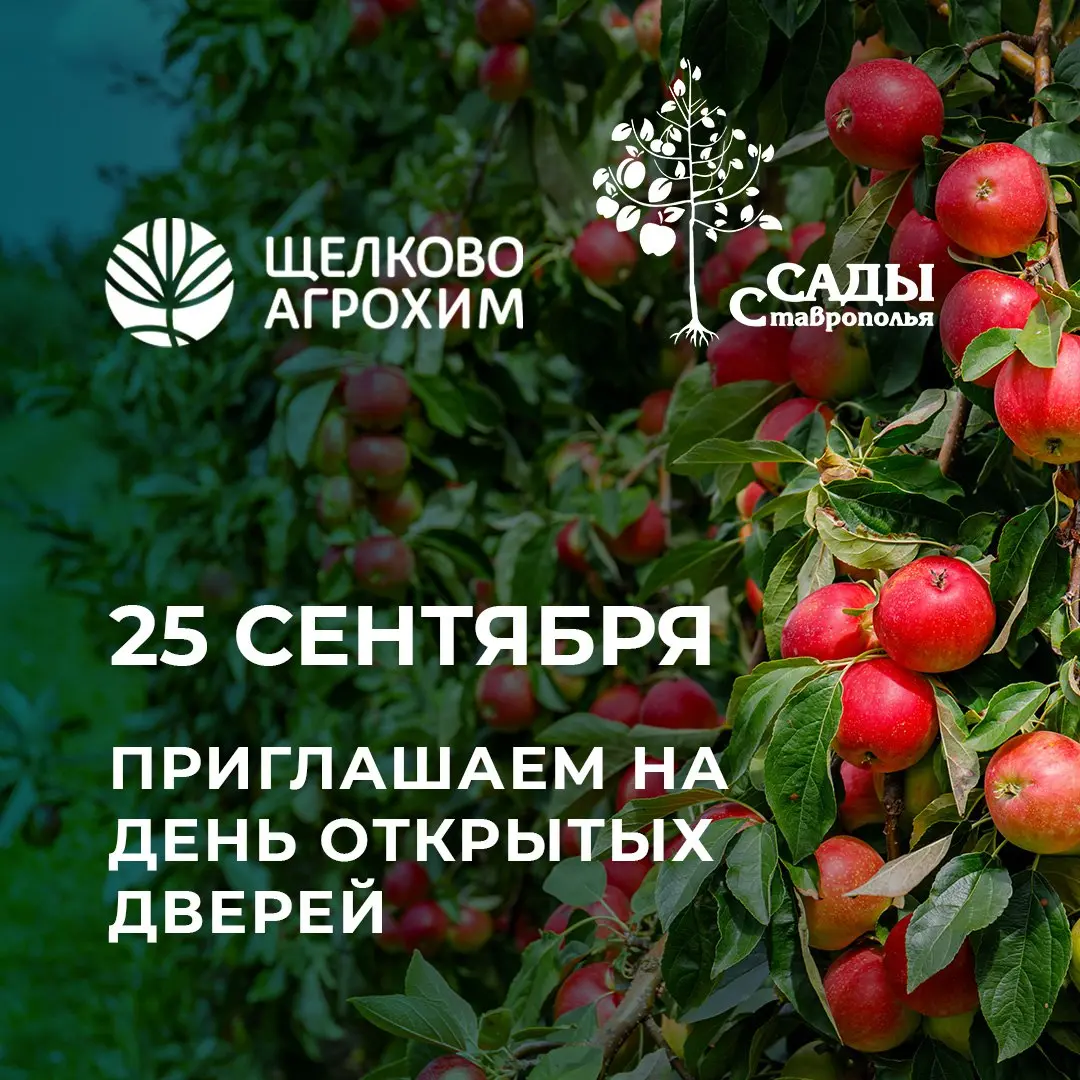 День открытых дверей