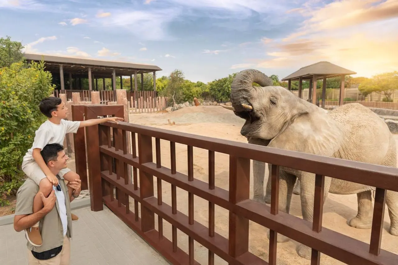 Dubai Safari Park открывает новый сезон