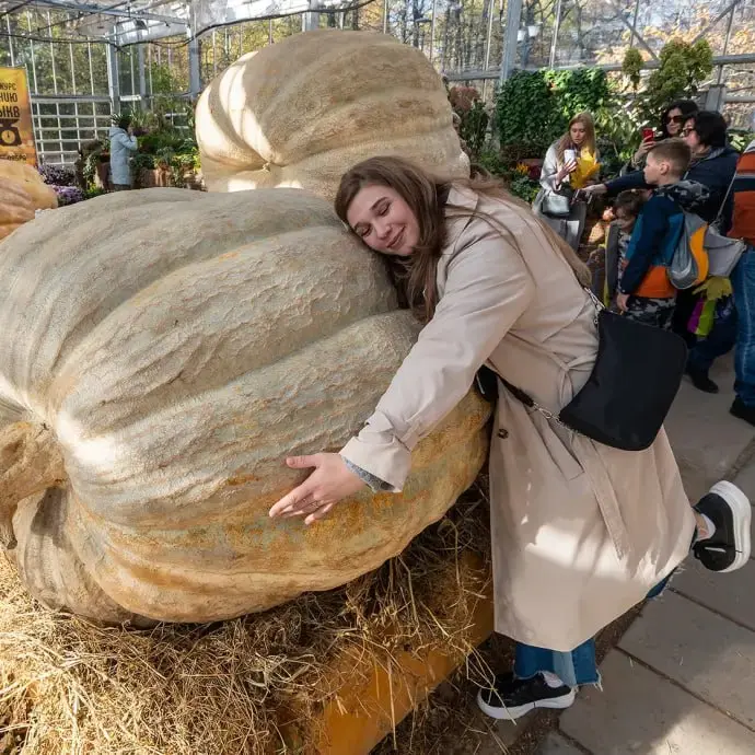 ОВОЩИ-ГИГАНТЫ