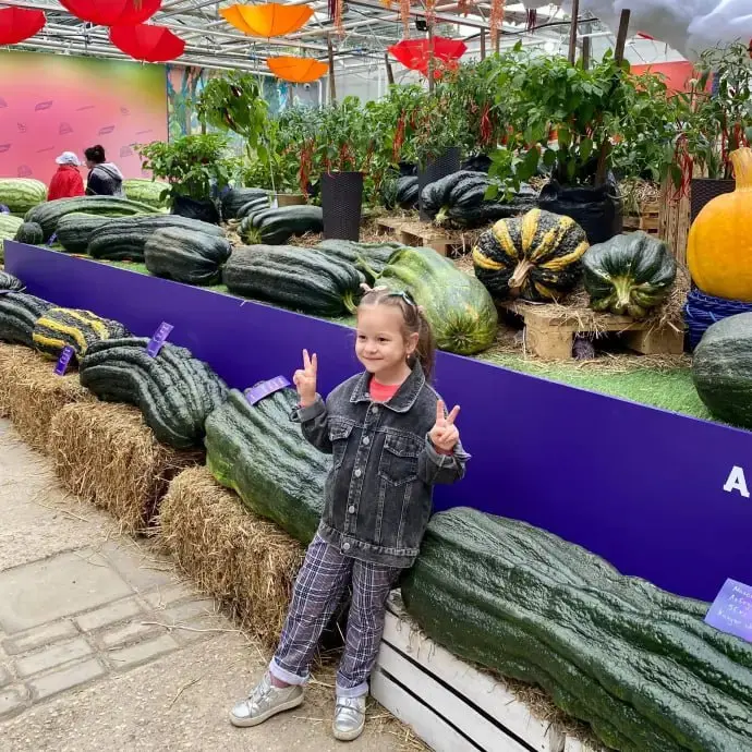 ОВОЩИ-ГИГАНТЫ