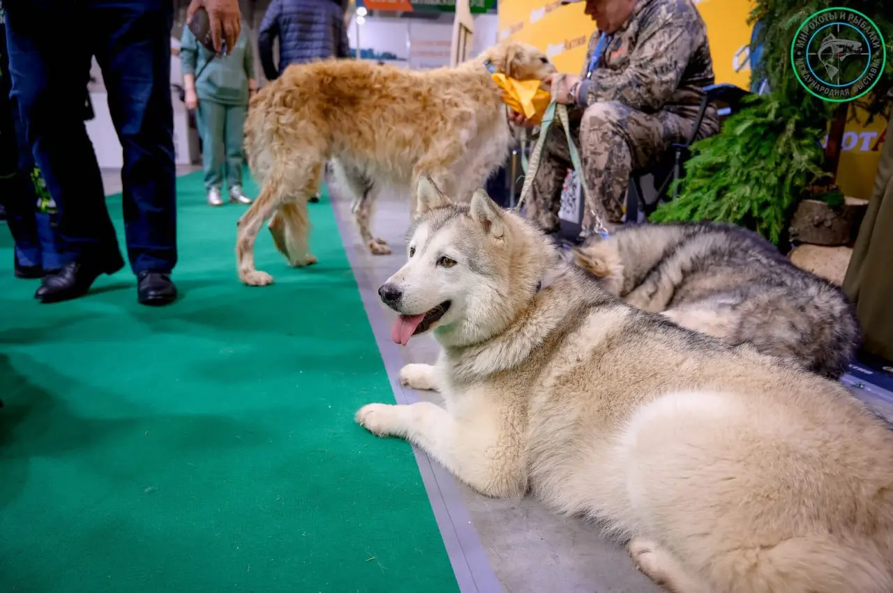 Мир Охоты и Рыбалки