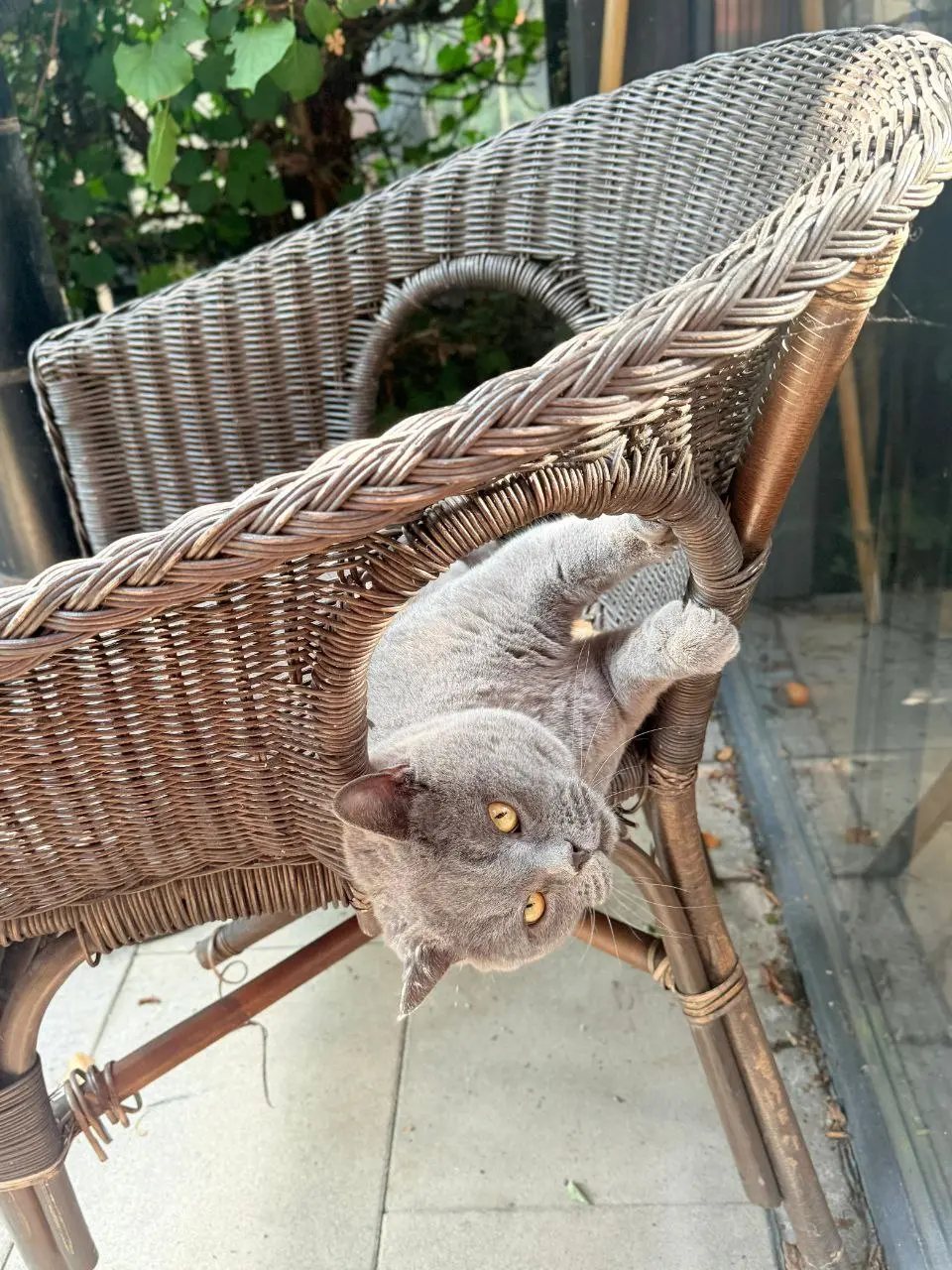 English Breakfast with Victoria; Арт-завтрак с Ириной Серебрянниковой; мастер-классы по подготовке подарков к Дню учителя