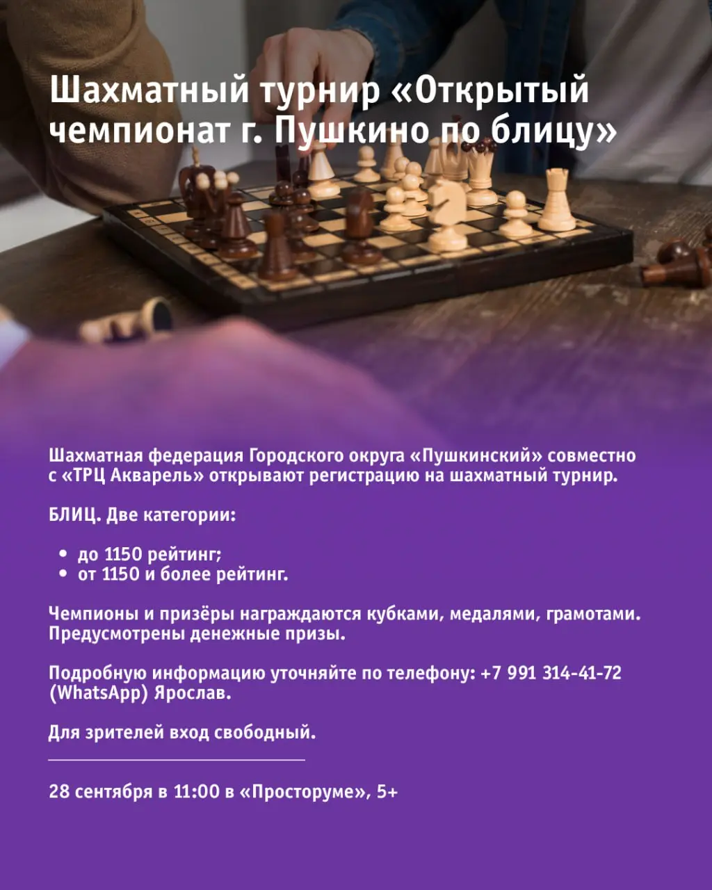 Концерт «РетроГрадус»; Шахматный турнир по рапиду; Модная вечеринка «Блеск бриллиантов»; Шахматный турнир по блицу; «Гитарники в Пушкино»