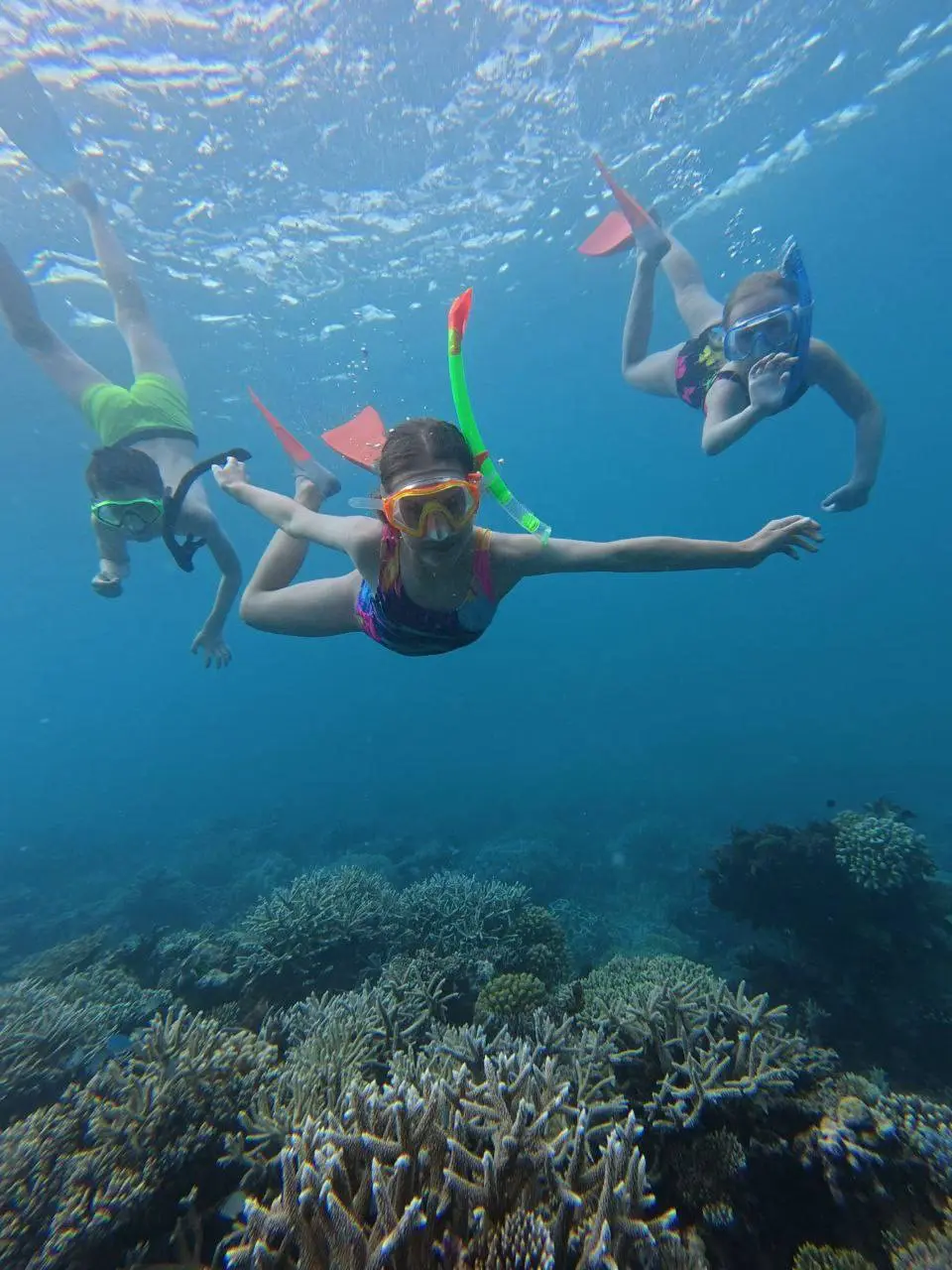 МАЛЬДИВЫ - 2026