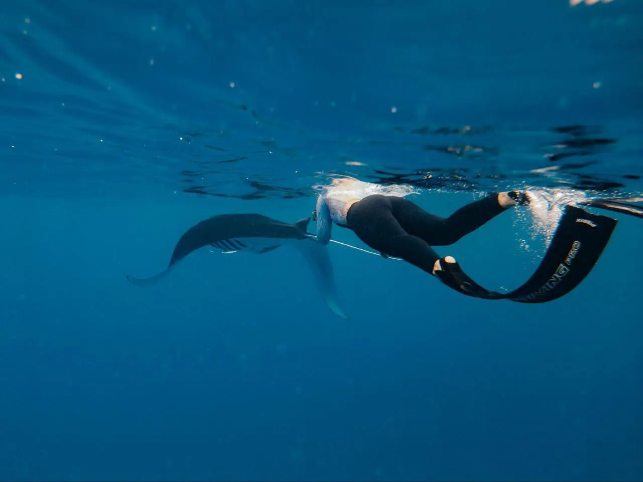 МАЛЬДИВЫ - 2026