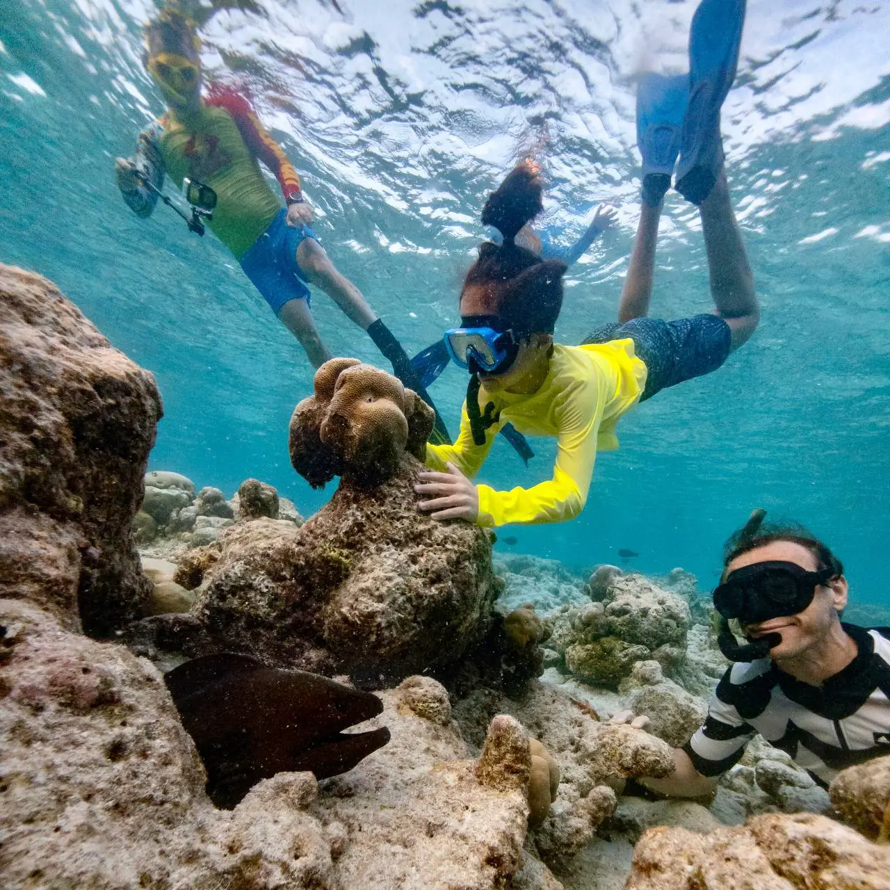 МАЛЬДИВЫ - 2026