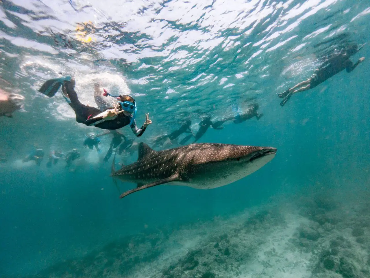 МАЛЬДИВЫ - 2026