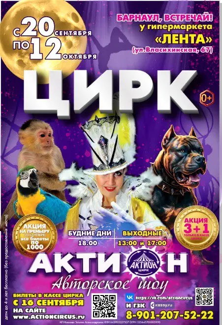 Цирковое авторское шоу