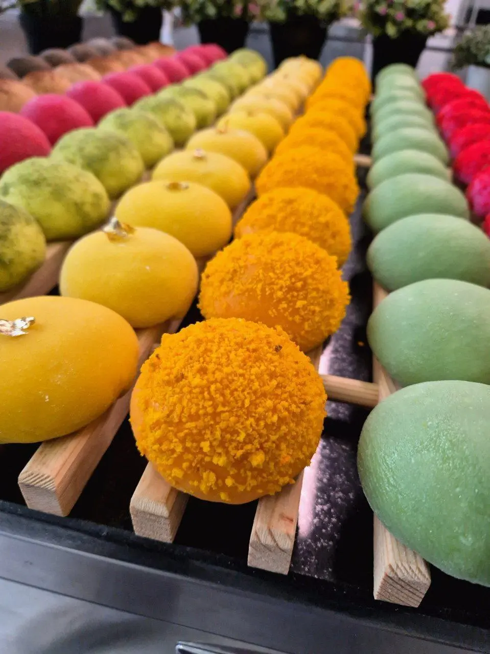 МОТИ 8 ВИДОВ - КРАСНОДАР