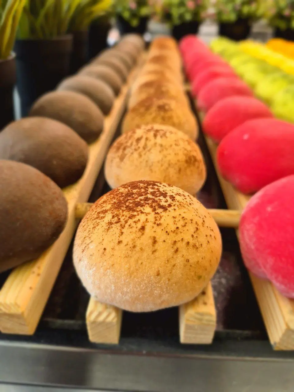 МОТИ 8 ВИДОВ - КРАСНОДАР