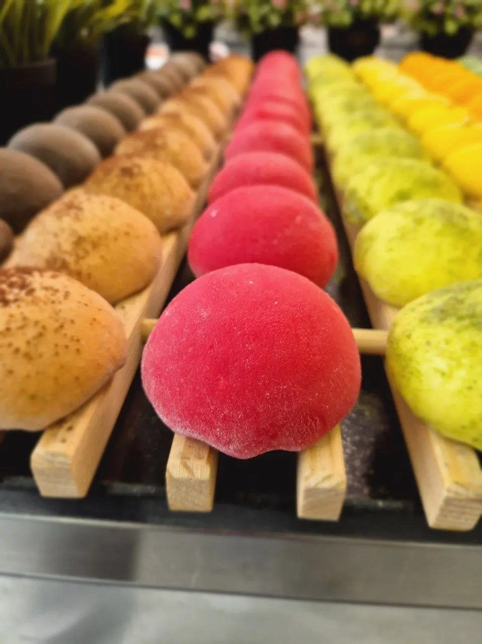 МОТИ 8 ВИДОВ - КРАСНОДАР