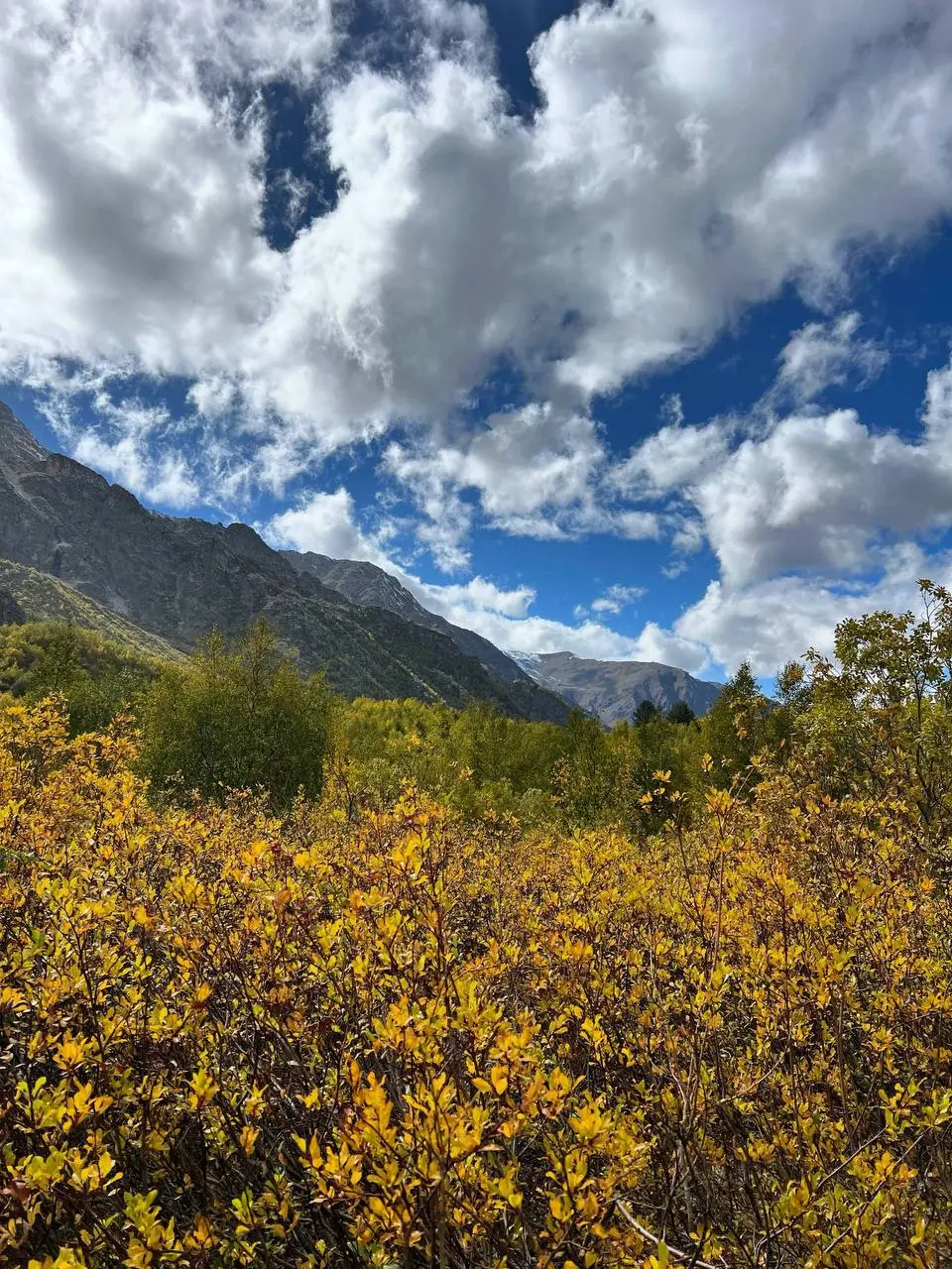Треккинг в Ущелье Адыл-Су к озеру Башкара