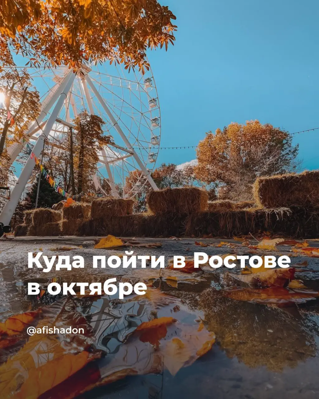 Выставка Дарьи Киселевой