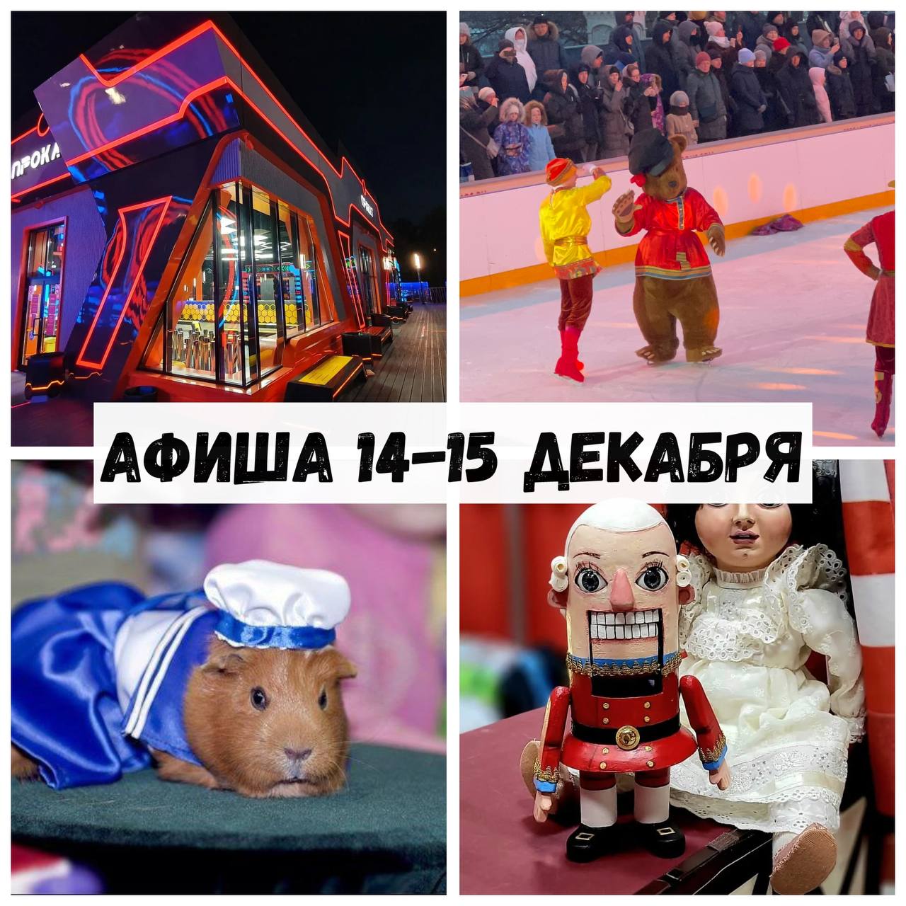 Семейные выходные 14-15 декабря