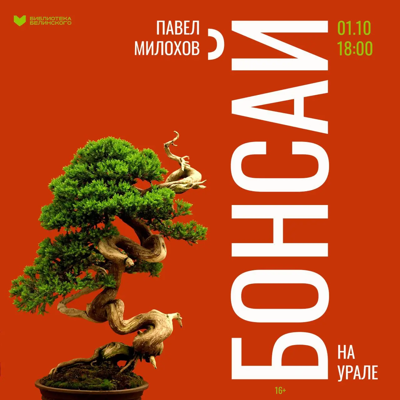 Бонсай на Урале