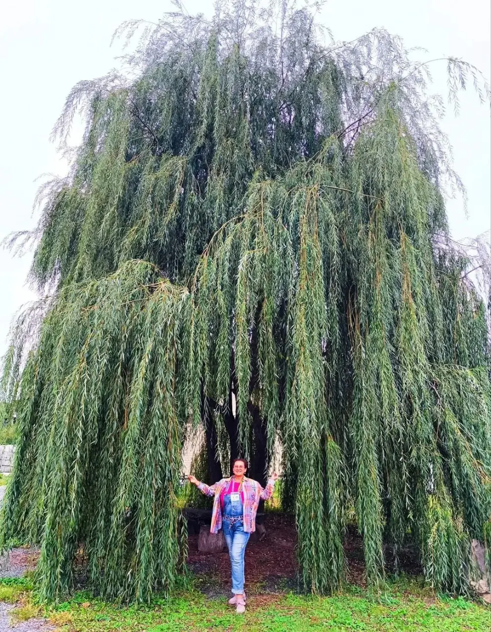 ИДЁМ ГУЛЯТЬ