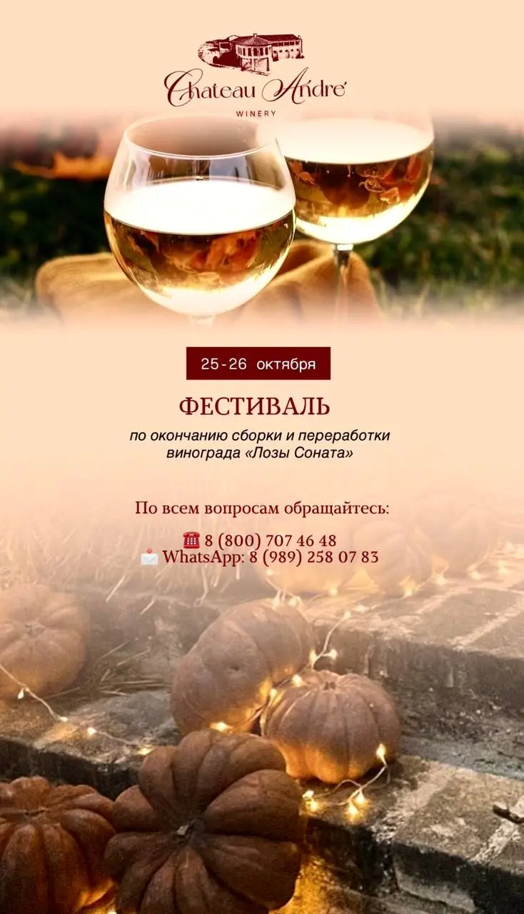 ФЕСТИВАЛЬ по окончанию сборки и переработки винограда ~Лозы Сонатах