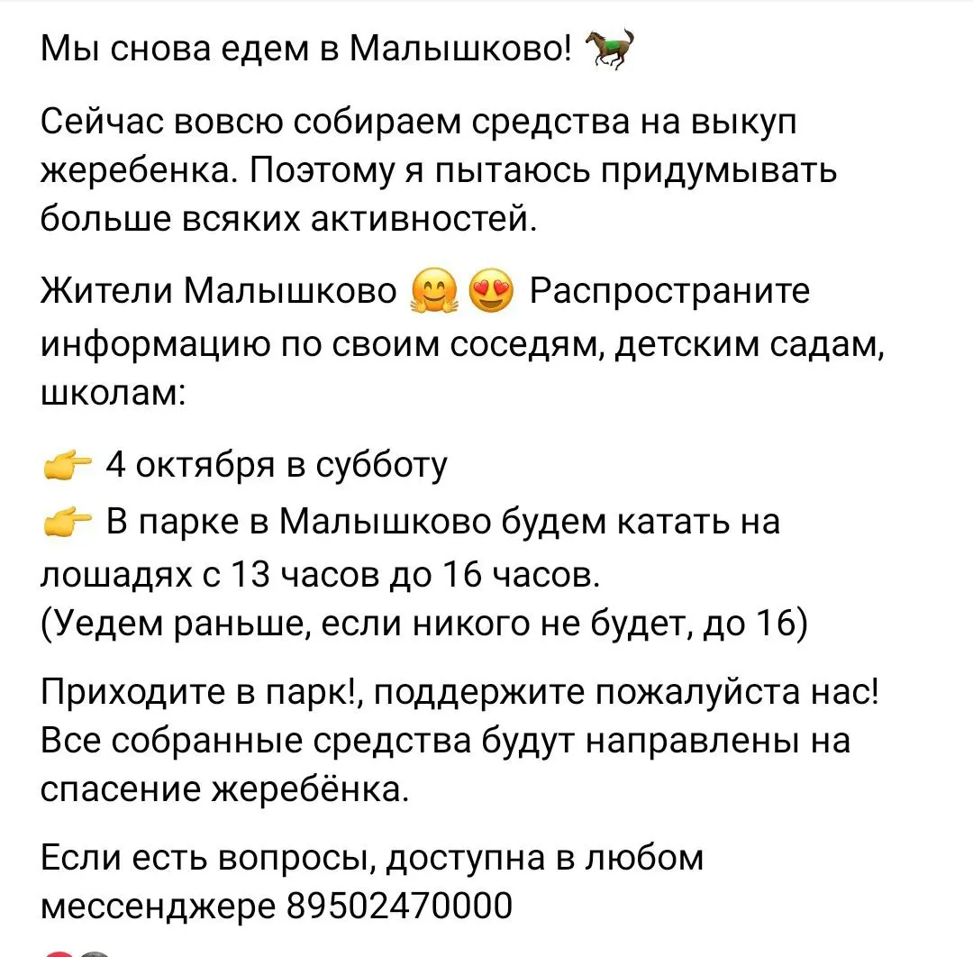 Малышково — катание на лошадях и сбор средств