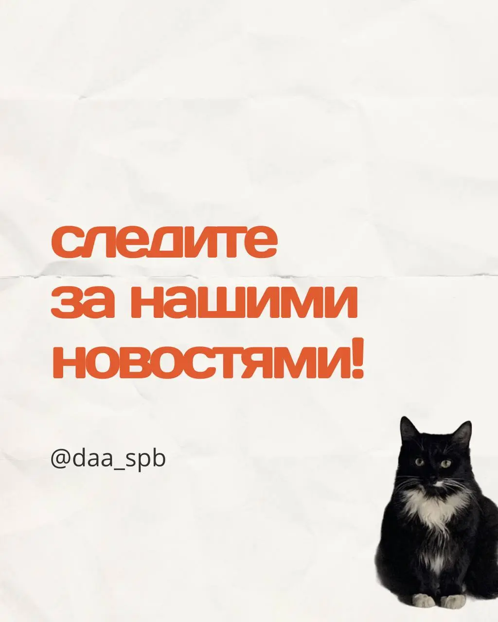 MEGUSTRO фестиваль и последующие мероприятия