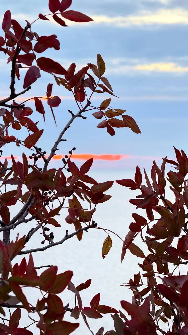 Первый закат октября