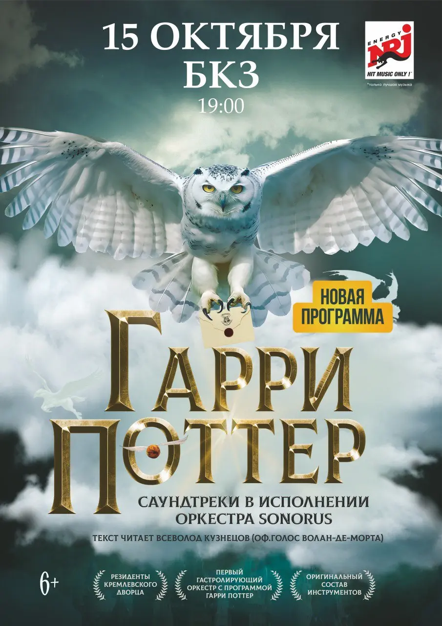 Гарри Поттер. Оркестр Sonorus