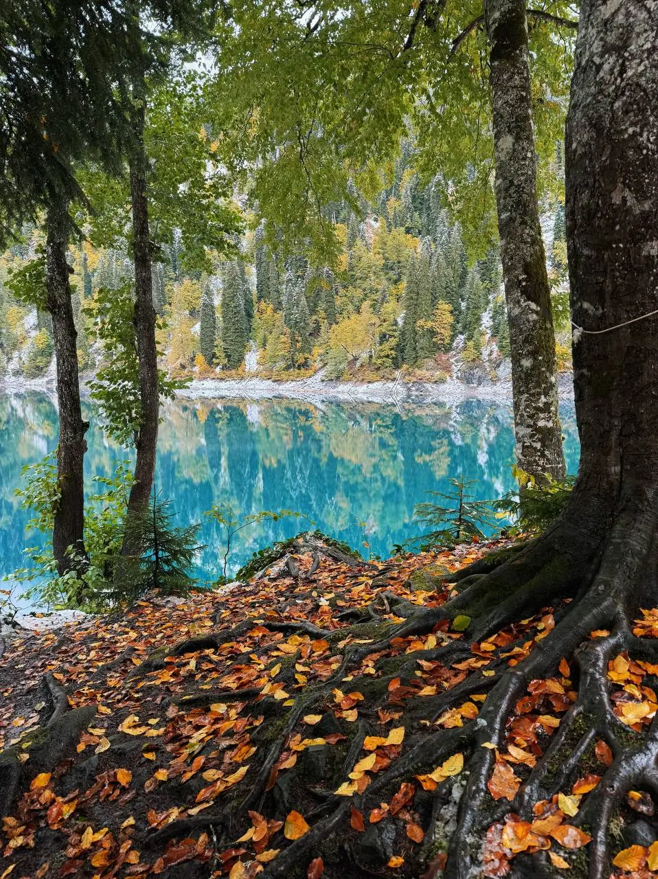 РАСПИСАНИЕ НА ОКТЯБРЬ