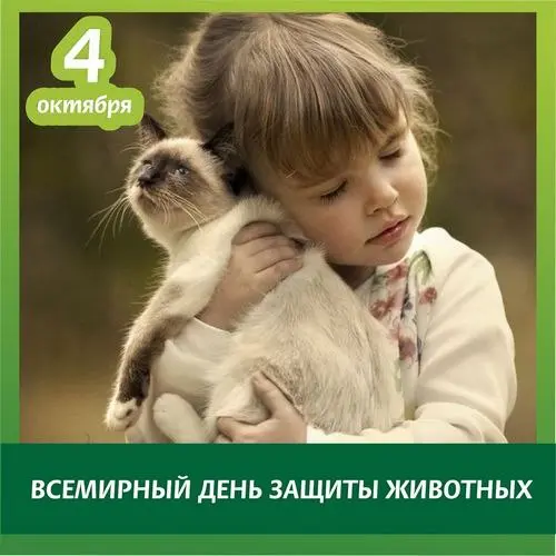 Добрый субботник в Добродее