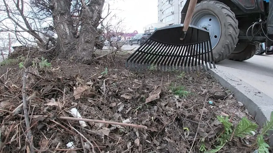 Осенний месячник благоустройства стартовал в Воронеже