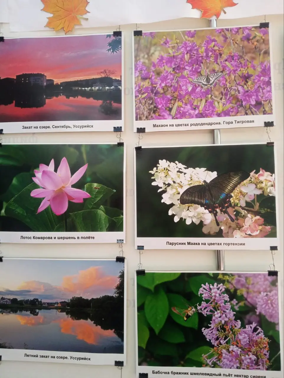 По родному Приморью от Хасана до Бикина