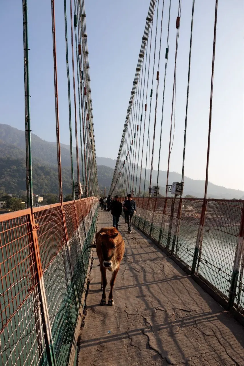 Эксклюзивный авторский тур в Индию: Путешествие к духовным истокам