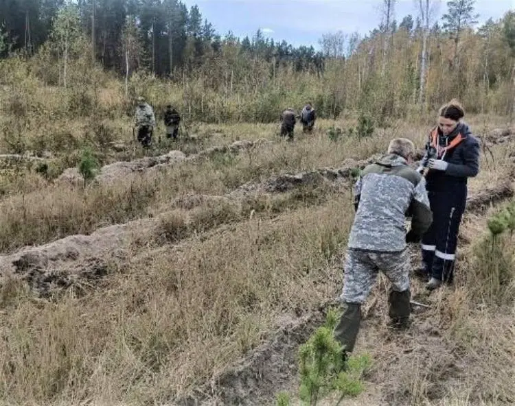 Сохраним лес вместе