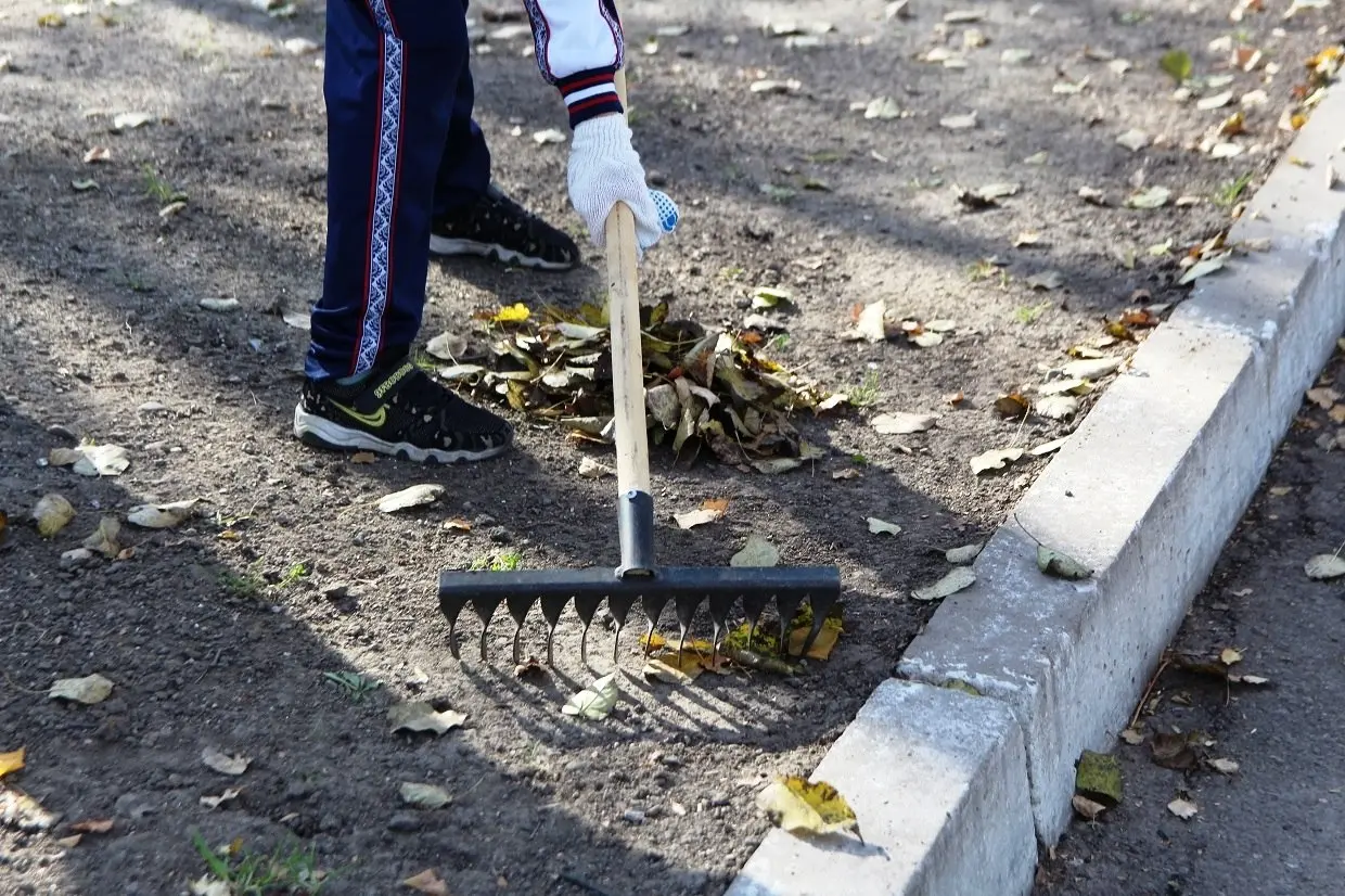 общеегородской субботник