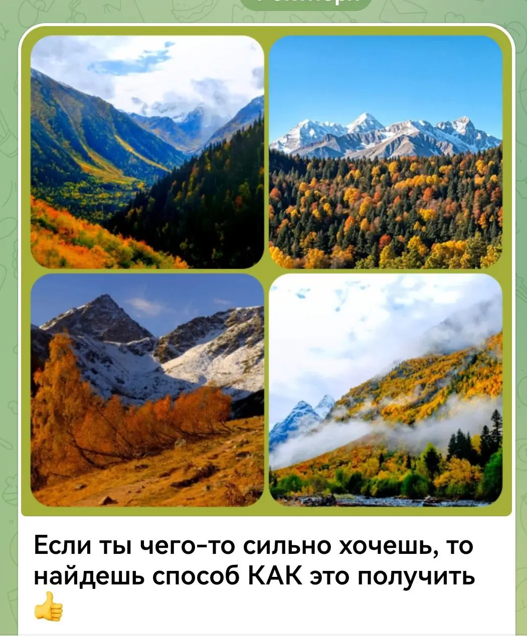 ЗОЛОТОЙ АРХЫЗ