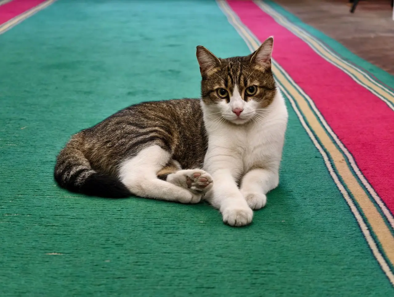 Подарок мурманчанам ко дню рождения Мурманска Военно-морской музей Северного флота